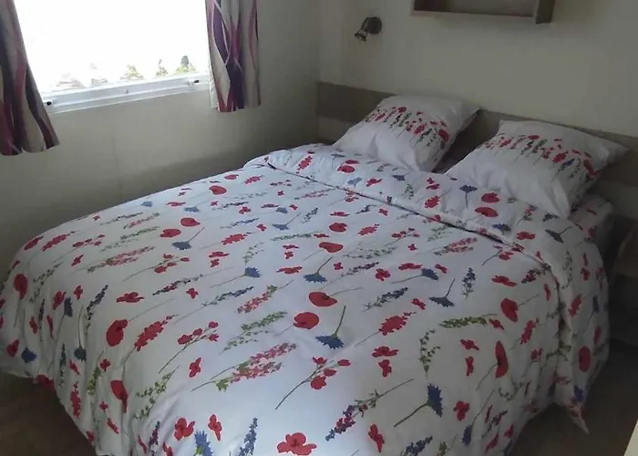 Mobil Confort - Piscine - 4 Personnes - - Ile D'oléron *